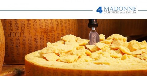 Cos'è il disciplinare del Parmigiano Reggiano DOP